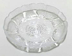 Glass Appetizer Plate